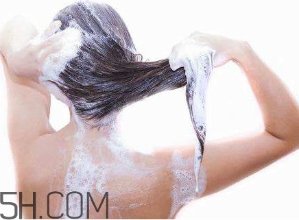 醋洗頭是白醋還是陳醋？用醋洗頭要用洗發(fā)水嗎？