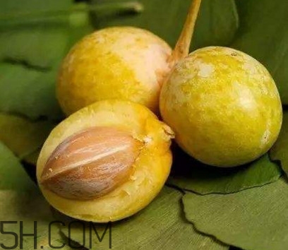 白果沒熟吃了會(huì)怎么樣？白果熟了是什么樣子的