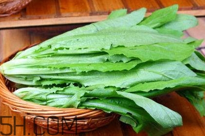 油麥菜是轉(zhuǎn)基因蔬菜嗎？油麥菜是發(fā)物嗎
