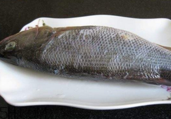 鮭魚是三文魚嗎？鮭魚的營養(yǎng)價值