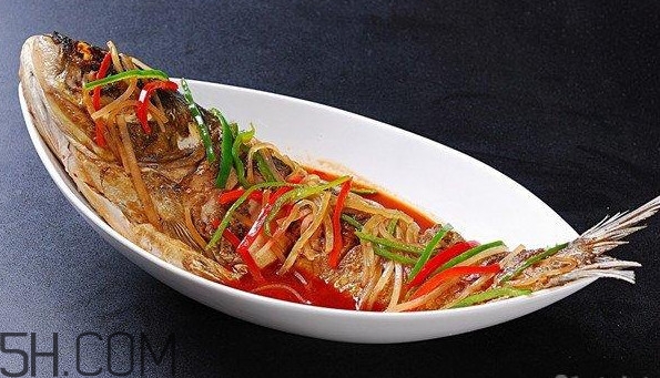 胖頭魚是什么魚？胖頭魚是發(fā)物嗎