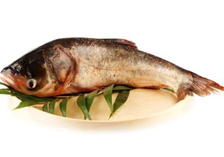 胖頭魚可以做魚丸嗎？胖頭魚可以做酸菜魚嗎