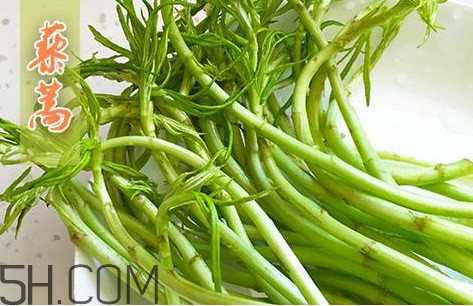 藜蒿什么季節(jié)有？藜蒿是發(fā)物嗎