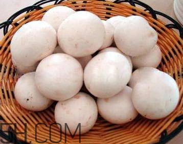 口蘑的口字是怎么來(lái)的？口蘑怎么清洗