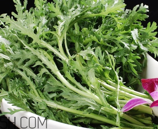 皇帝菜是什么樣子？皇帝菜又叫什么菜
