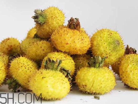 刺梨能降血壓嗎？刺梨是哪里的特產(chǎn)