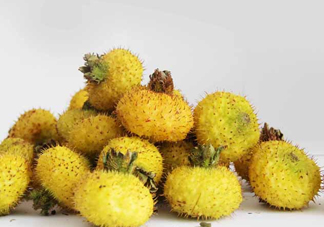 刺梨能降血壓嗎？刺梨是哪里的特產(chǎn)