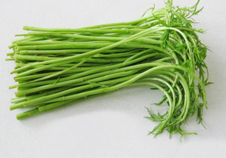 藜蒿多少錢一斤？藜蒿和蘆蒿是同一種菜嗎？