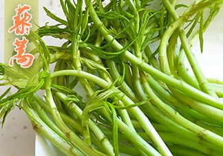 藜蒿什么季節(jié)有？藜蒿是發(fā)物嗎
