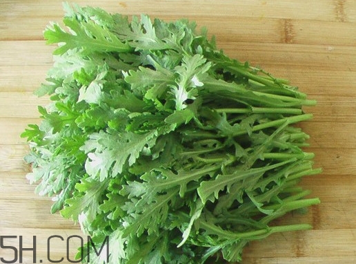 皇帝菜是什么樣子？皇帝菜又叫什么菜