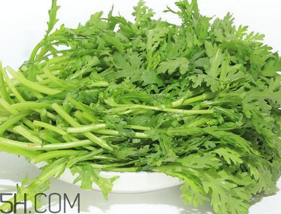 皇帝菜與什么煲湯好吃？皇帝菜性寒嗎