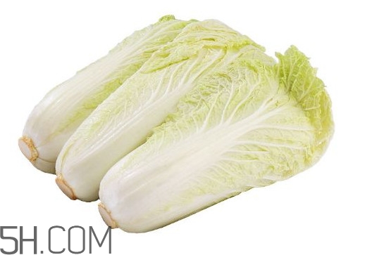 娃娃菜熱量是多少？娃娃菜為什么叫娃娃菜