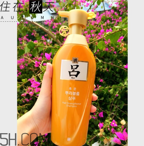 黃呂洗發(fā)水怎么樣？黃呂洗發(fā)水適合人群