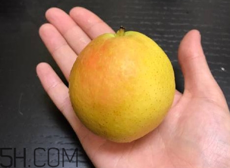 南果梨是發(fā)物嗎？南果梨是酸性還是堿性