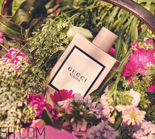 gucci bloom香水好聞嗎？gucci bloom香水香評