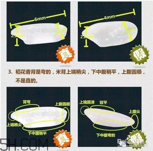 五常大米怎么辨別真假？五常大米和普通米的區(qū)別