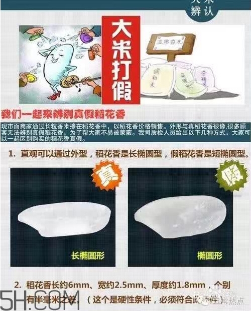 五常大米怎么辨別真假？五常大米和普通米的區(qū)別