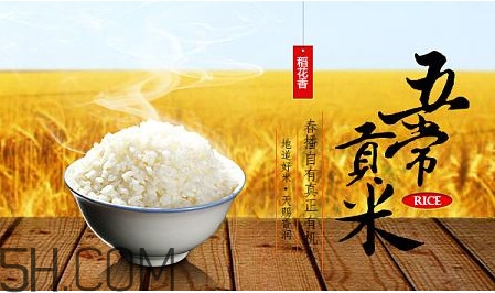 五常大米什么時(shí)候種植？五常大米是什么品種