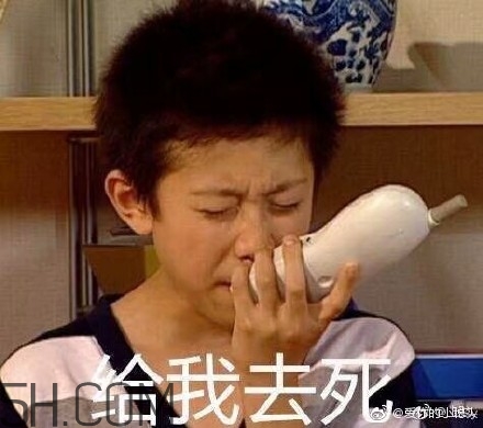 diediedie什么意思？diediedie表情包