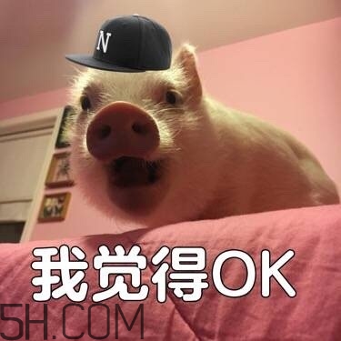 ojbk是什么意思？ojbk表情包