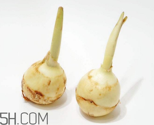 慈菇怎么洗？慈菇的小尾巴能吃嗎