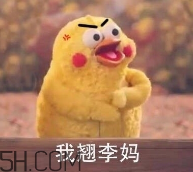 翹李媽什么意思？我翹李媽表情包