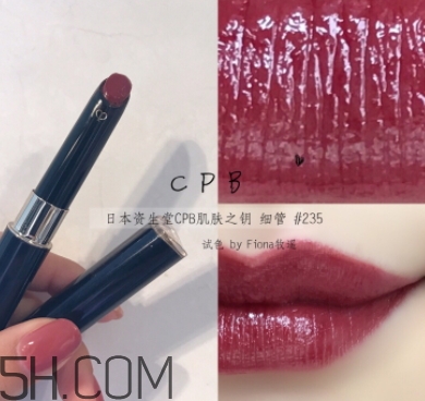 豬肝色口紅哪個牌子好？豬肝色口紅推薦