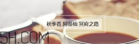 冬天適合什么香水？適合冬天的小眾香型香水推薦