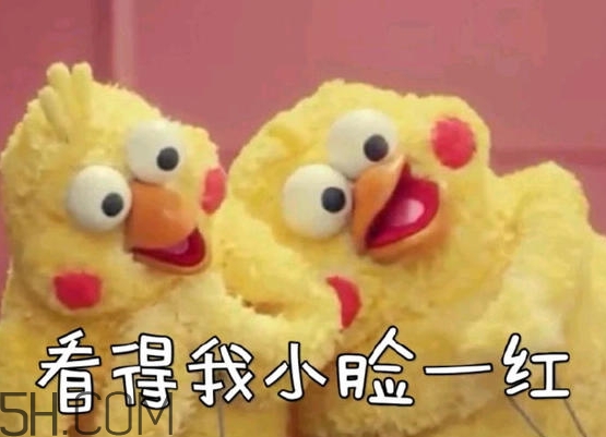 你們都是臭襪子什么意思？你們都是臭襪子表情包