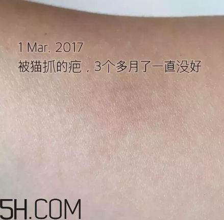海藍(lán)之謎pk深海四十噚最全測評 面霜哪家好？