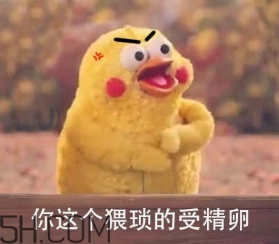 你這個(gè)猥瑣的受精卵是什么意思？你這個(gè)猥瑣的受精卵表情包