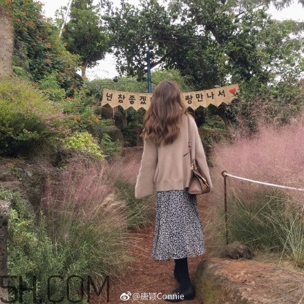 粉黛亂子是什么植物？粉黛亂子草花語