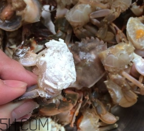 花蓋蟹和梭子蟹哪個(gè)好吃？花蓋蟹和梭子蟹區(qū)別