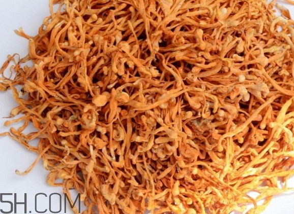 冬蟲(chóng)夏草哪里的最好？冬蟲(chóng)夏草和蟲(chóng)草花的區(qū)別