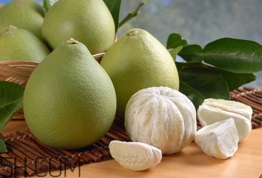 文旦怎么保存？文旦是哪個(gè)地方的特產(chǎn)