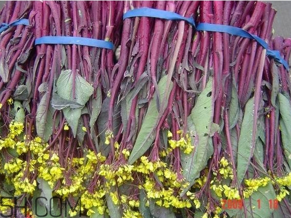 洪山菜苔多少錢(qián)一斤？紅菜苔多少錢(qián)一斤