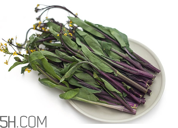 紅菜苔為什么炒出來的汁是藍(lán)色的？紅菜苔是什么菜