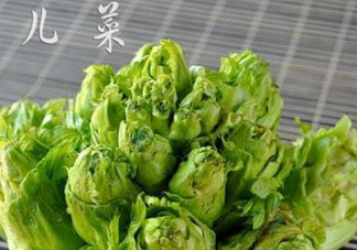 青菜頭是不是兒菜？大頭菜和兒菜的區(qū)別