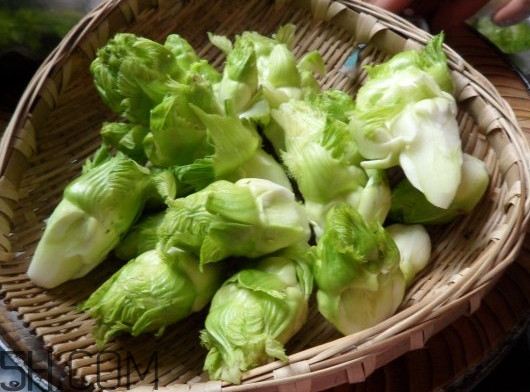 兒菜為什么叫兒菜？兒菜什么季節(jié)吃的