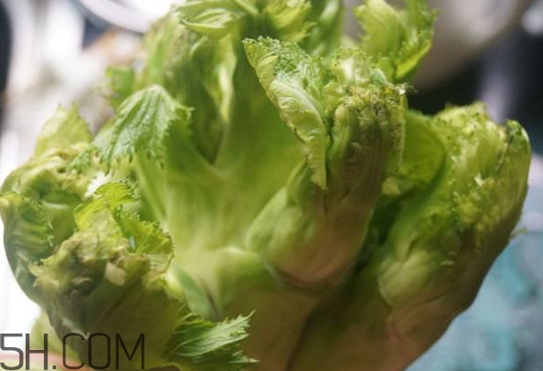 兒菜為什么叫兒菜？兒菜什么季節(jié)吃的