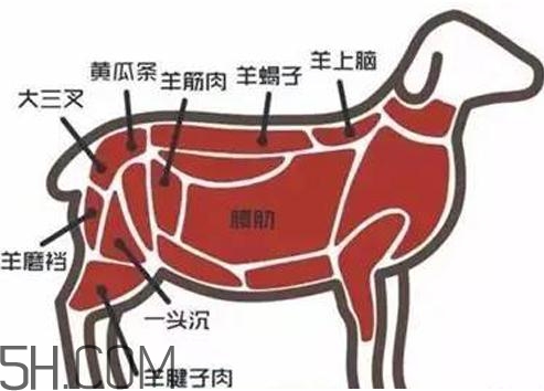 涮羊肉哪個部位最好吃？涮羊肉都有什么菜？