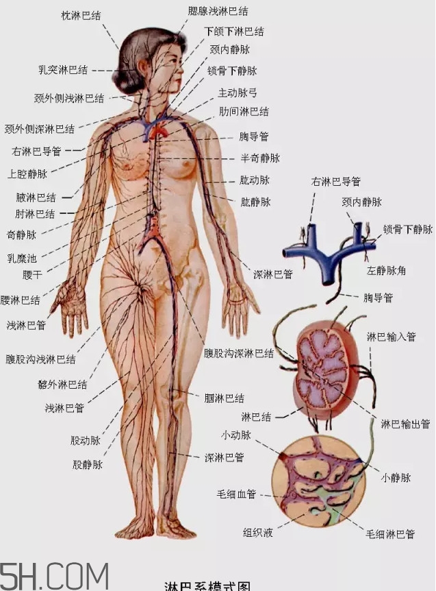 淋巴癌最嚴重時會成什么樣子？淋巴瘤能治好嗎