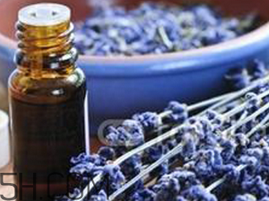 如何用精油護(hù)發(fā)？薰衣草精油護(hù)發(fā)怎么用？