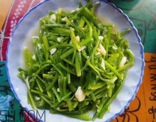 麗江水性楊花是什么菜？水性楊花菜怎么做？