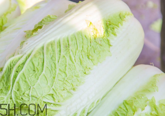 大白菜可以生吃嗎？大白菜可以隔夜吃嗎