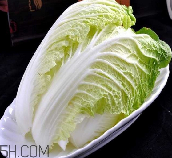 大白菜起源是哪里？大白菜產(chǎn)地分布有哪些