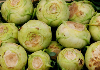 大頭菜是發(fā)物嗎？大頭菜是卷心菜嗎