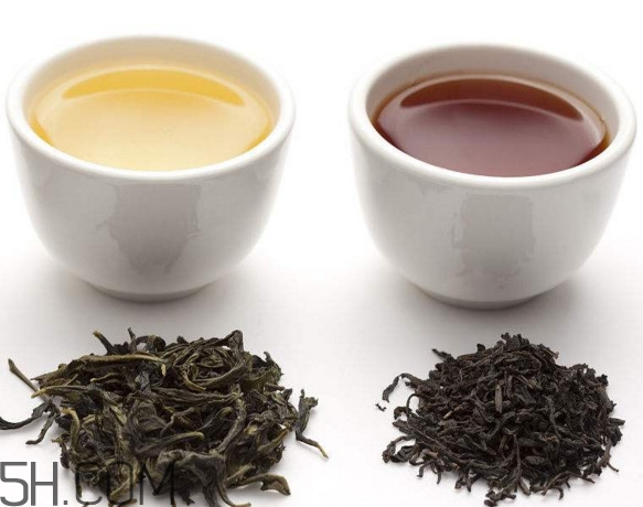 烏龍茶是什么茶？烏龍茶是紅茶還是綠茶