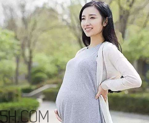 懷孕了可以吃可樂雞翅嗎？可樂雞翅什么人不能吃