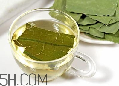 荷葉茶大概哪里有賣？荷葉茶副作用有哪些
